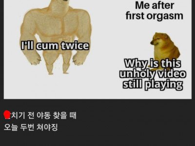 남자가 x치기 전과 후