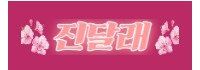 진달래