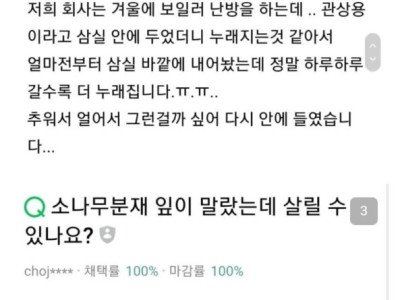 선물로 자주 주고받는데 키우기 쉽지 않은 식물