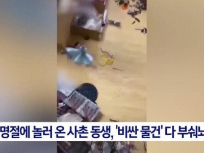 명절날 왔다간 9살 사촌동생 피규어 전부 박살.jpg