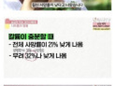 짜게 먹는게 괜찮은 이유