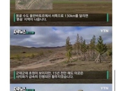16년 전 무한도전이 몽골에 심은 나무 근황