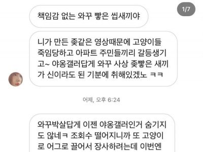 유투버 '새덕후' 저번에 켓맘 저격 영상 올리고 받은 반응들