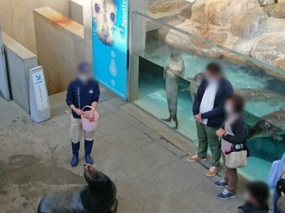 바다사자 먹방 구경하는 관람객.jpg