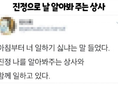 완벽한 팀장