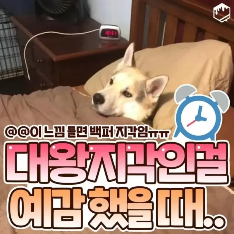 17090075672482.webp