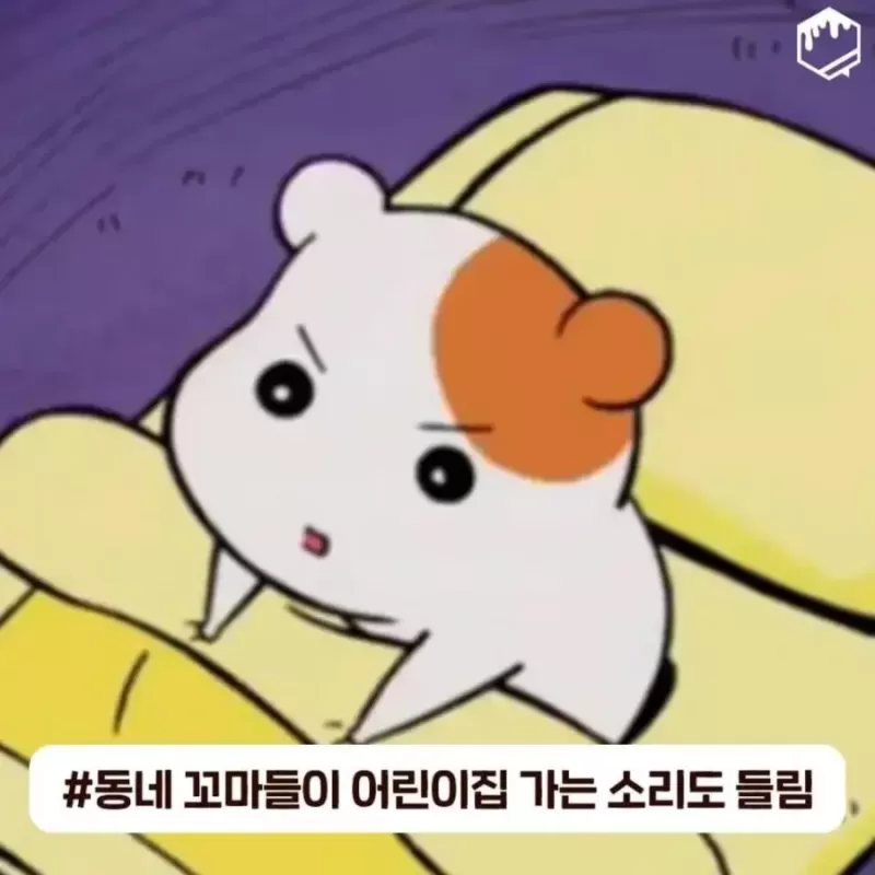 17090075678019.webp