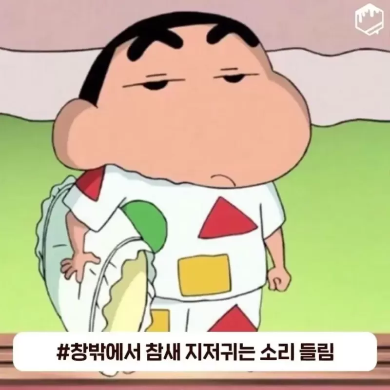 17090075681652.webp