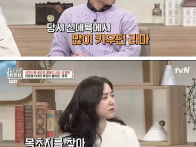 처음으로 인간이 매독에 감염된 원인.jpg