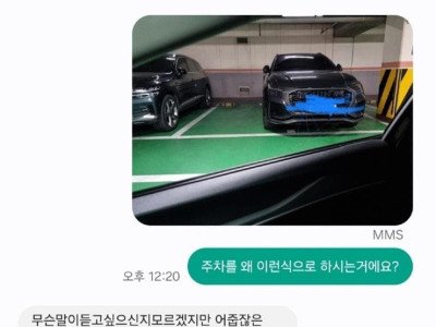 멘탈 최강인 요즘 주차 빌런들..jpg