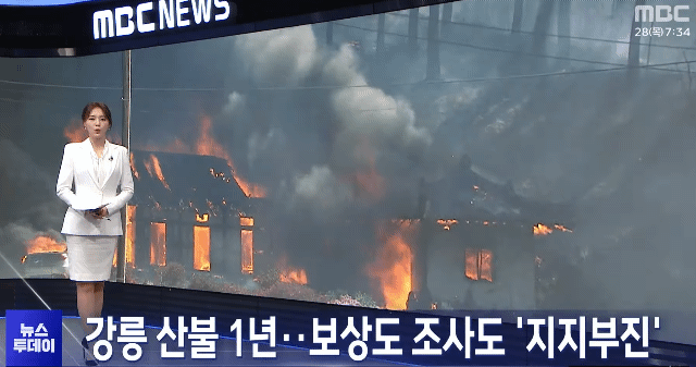 강릉 산불 1년. .보상도 조사도 '지지부진'