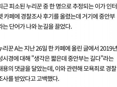'중안부가 뭐기에?' 성시경 모욕죄로 경찰조사 받은 누리꾼