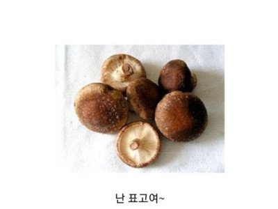 초딩들 눈물 만드는 급식 메뉴.jpg