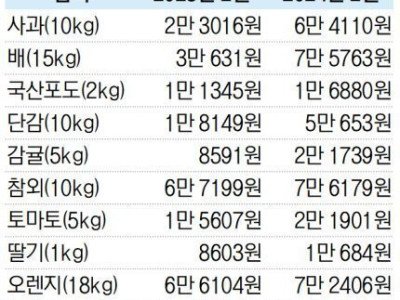 1년 사이 주요 과일 가격 비교.jpg