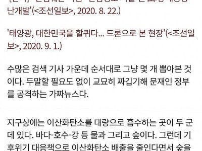 '산지 태양광 난개발'의 주범
